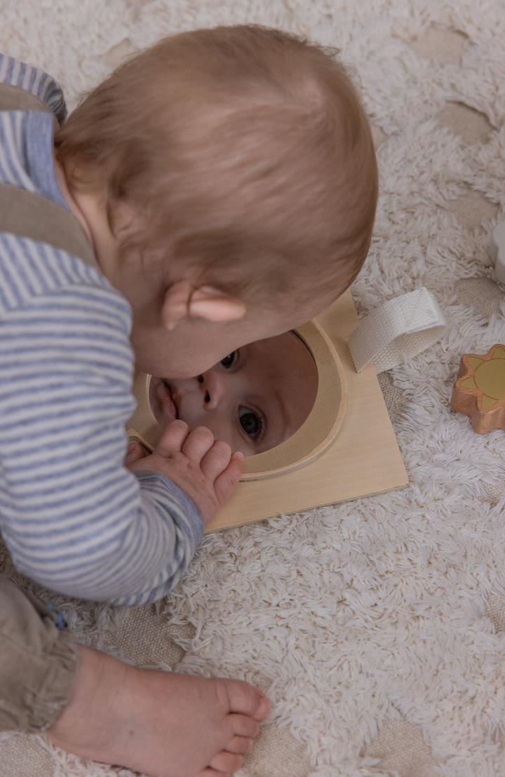 Motor Skills Play Box Wooden Sebra Leksak