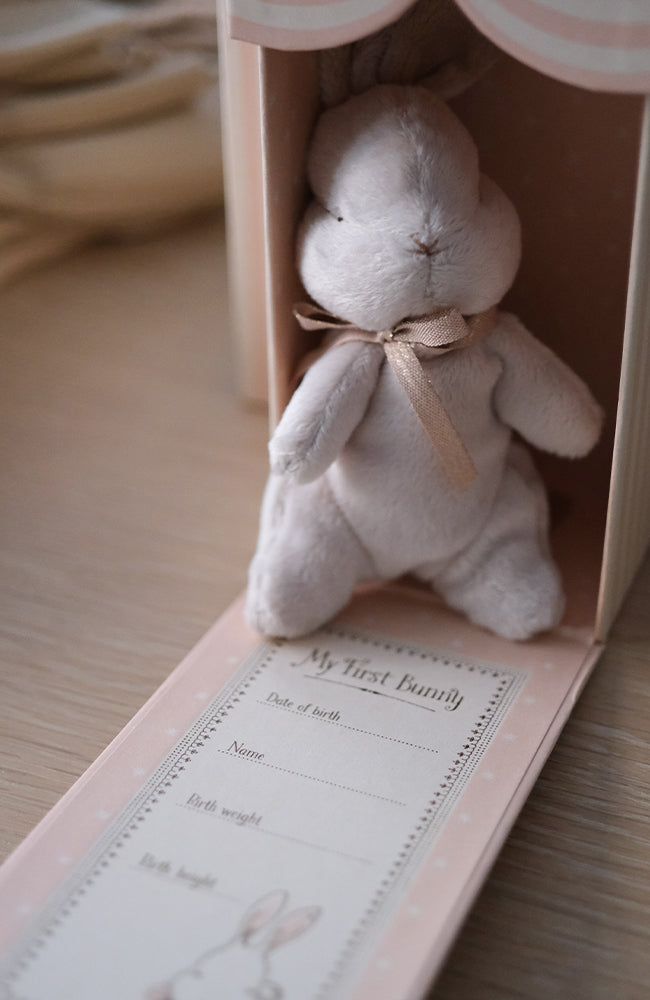 My first bunny - Powder Maileg Mjukdjur