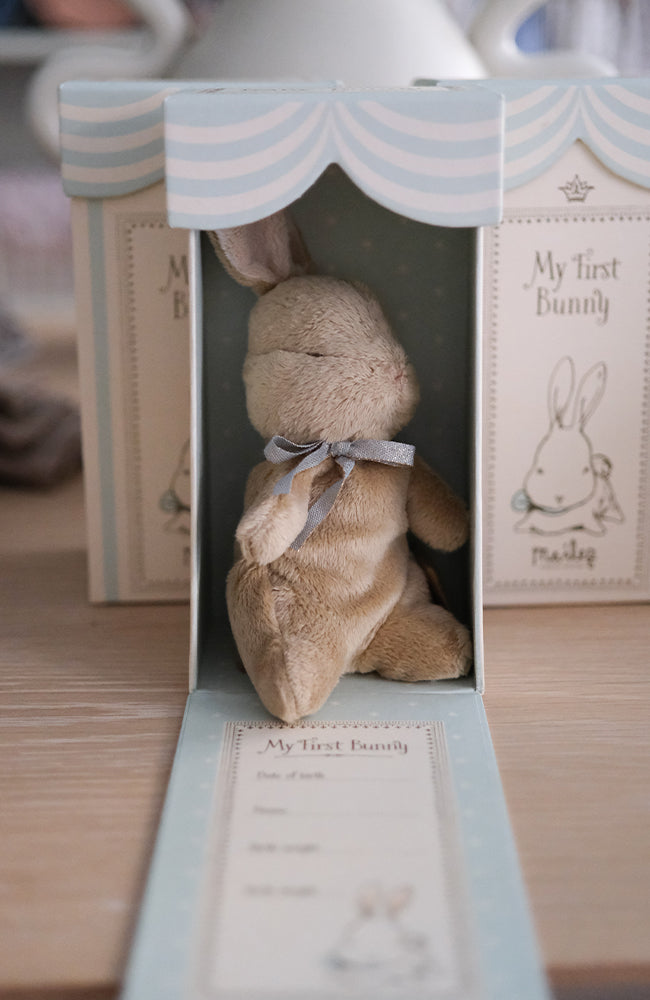 My first bunny - Mint Maileg Mjukdjur