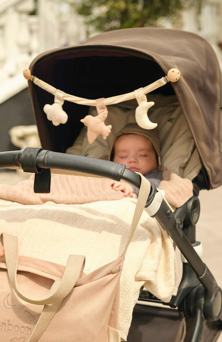 Stroller Toy - Multi Mix